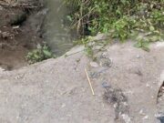 Huaral: vecinos denuncian grave contaminación por aguas residuales en canal de regadío. Huaral vecinos denuncian grave contaminación por aguas residuales en canal de regadío