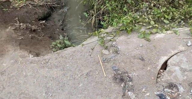 Huaral vecinos denuncian grave contaminación por aguas residuales en canal de regadío