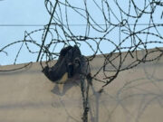 Reportan fuga de seis internos de ‘Maranguita’: usaron telas y jeans para trepar muro. Reportan fuga de seis internos de ‘Maranguita’ usaron telas y jeans para trepar muro.