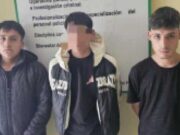 Desarticulan a «Los Lobos de Huaral» en operativo policial. Desarticulan a Los Lobos de Huaral en operativo policial.