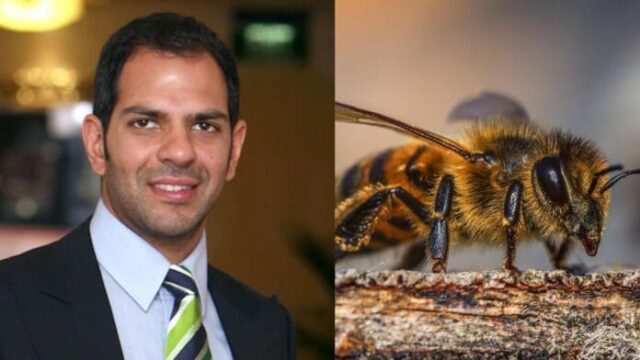 Empresario millonario, Sunjay Kapur, muere al tragarse una abeja durante un partido de polo.