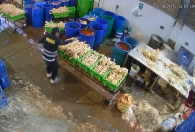 Huacho “Reina del Pollo” rompe su silencio tras dos atentados “Lo único que pido es que me dejen vivir en paz”.