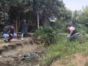 Huaral: Hallan cadáver de adulto mayor flotando en acequia del centro poblado Huacho Chico. Huaral Hallan cadáver de adulto mayor flotando en acequia del centro poblado Huacho Chico.