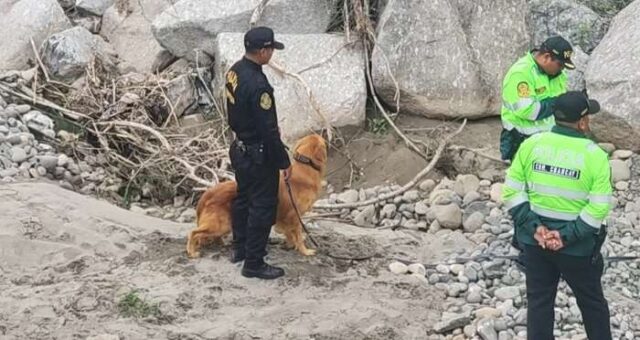 Huaral canes policiales no lograron ubicar a la profesora desaparecida tras demolición de Puente Chancay.