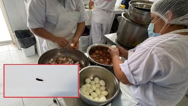 Hallan insectos y alimentos vencidos en programa Cuna Más de Huaral y Barranca.