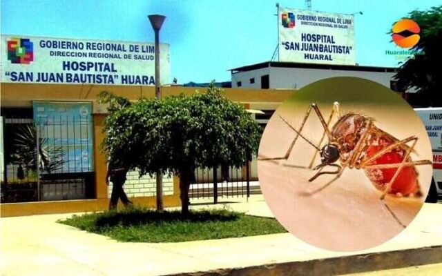 Confirman primer caso autóctono de dengue en la provincia de Huaral