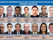 Doble candidatura: postulantes presidenciales apuestan por llegar también al senado nacional. Doble candidatura postulantes presidenciales apuestan por llegar también al senado nacional.