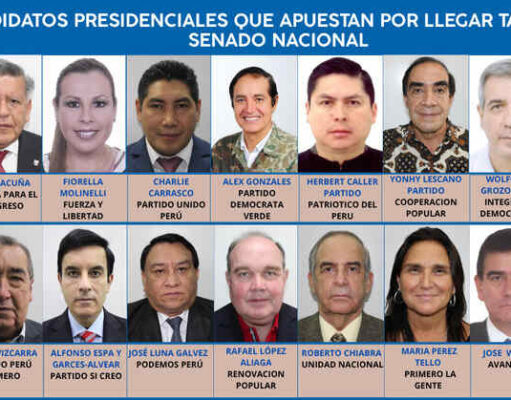 Doble candidatura: postulantes presidenciales apuestan por llegar también al senado nacional. Doble candidatura postulantes presidenciales apuestan por llegar también al senado nacional.