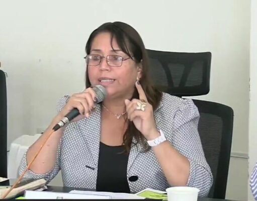 Regidora Silvia Dorador propone comisión para fiscalizar Emapa Huaral y recuperar su autonomía Regidora Silvia Dorador propone comisión para fiscalizar Emapa Huaral y recuperar su autonomía