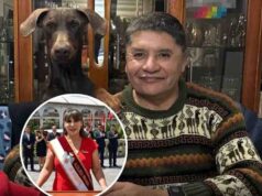 JNE vaca al alcalde de Arequipa por usar recursos municipales para cuidar a su perro “Flechita”. JNE vaca al alcalde de Arequipa por usar recursos municipales para cuidar a su perro “Flechita”.