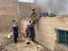 Pavoroso incendio en Los Naturales movilizó a vecinos, escolares y bomberos de Chancay Pavoroso incendio en Los Naturales movilizó a vecinos, escolares y bomberos de Chancay