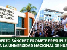 Roberto Sánchez promete hospitales, carreteras y presupuesto para la Universidad Nacional de Huaral. Roberto Sánchez promete hospitales, carreteras y presupuesto para la Universidad Nacional de Huaral.