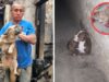 Sin puerta tras incendio, pitbull ingresó a vivienda y mató al perrito de adulto mayor Sin puerta tras incendio, pitbull ingresó a vivienda y mató al perrito de adulto mayor