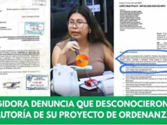 Regidora denuncia que municipalidad habría desconocido la autoría de su proyecto de ordenanza Regidora denuncia que municipalidad habría desconocido la autoría de su proyecto de ordenanza