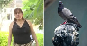 Mujer limpió excremento de paloma que cayó en su casa y perdió un dedo al contraer un hongo Mujer limpió excremento de paloma que cayó en su casa y perdió un dedo al contraer un hongo
