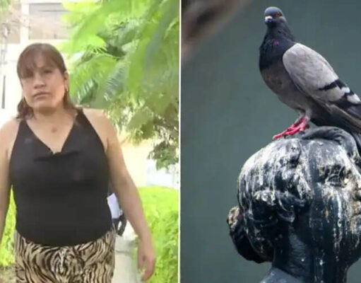 Mujer limpió excremento de paloma que cayó en su casa y perdió un dedo al contraer un hongo Mujer limpió excremento de paloma que cayó en su casa y perdió un dedo al contraer un hongo